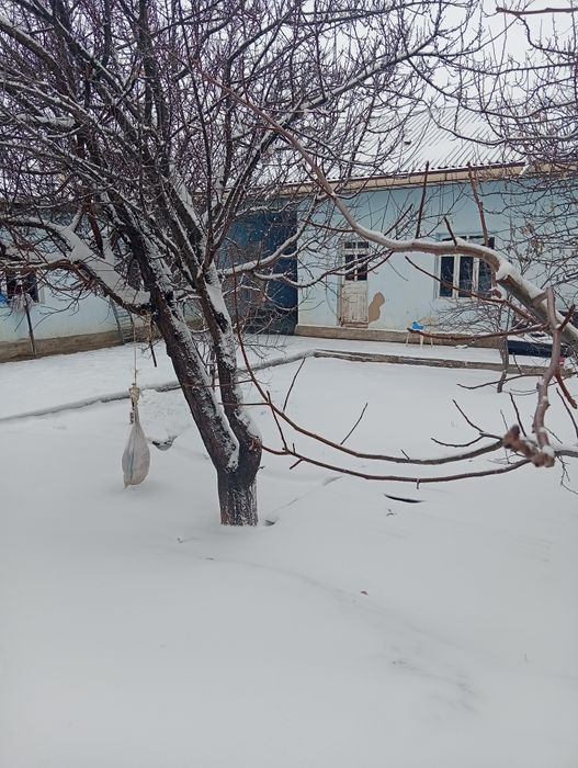 Bulungʻur tumanida uy sotiladi