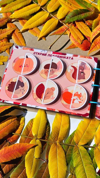 Велкро албум " есенни забави" 2+