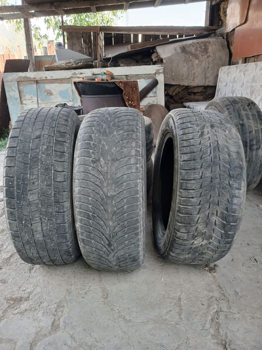 Автошины летние и зимние