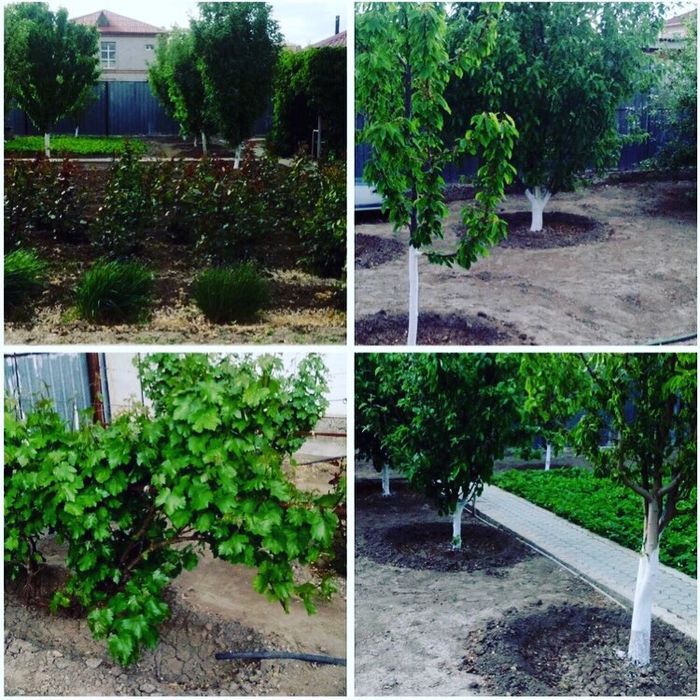 Срочная продажа дома