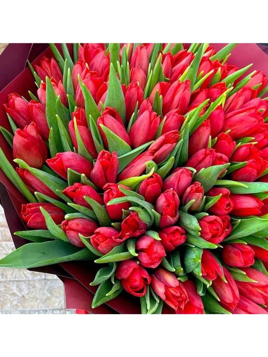 Тюльпаны 470тг/штука