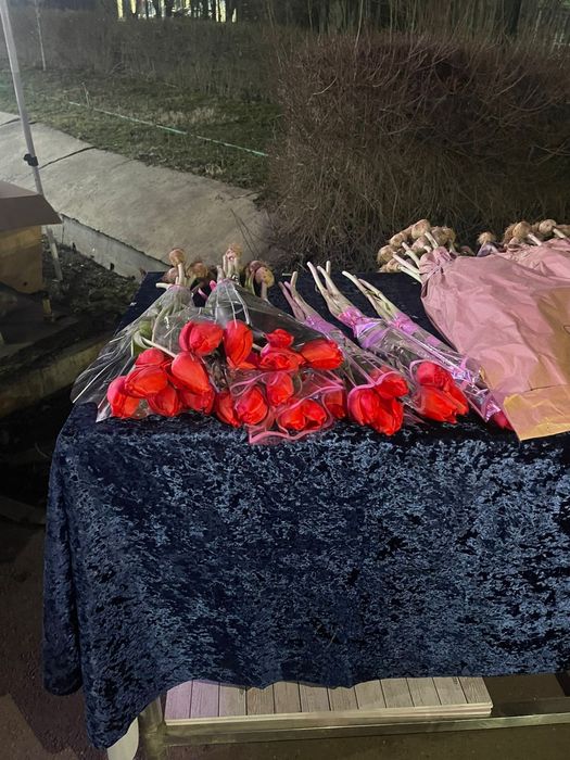 Тюльпаны Голландские