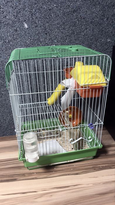 Хомяки с клетками