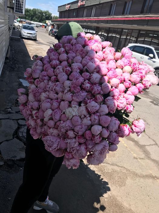 Голландские пионы цветы букеты