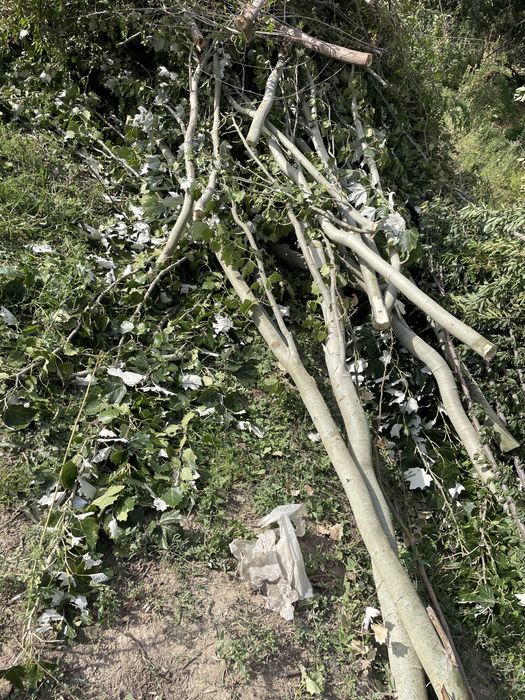 Қыстық Отын.Драва на зиму