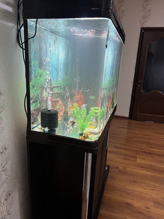 Аквариум заводской 250 литр