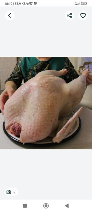 Домашние гуси продам