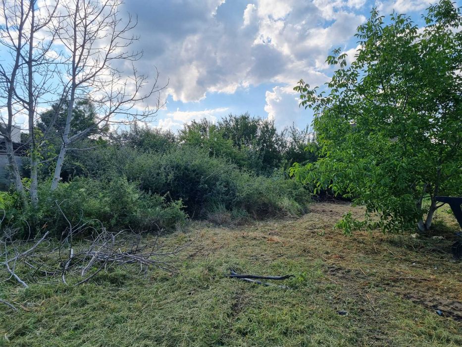 Curatare,defrisare teren, ploaia ajuta si la pret si la defrisare!