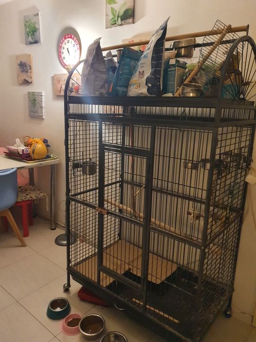 Colivie papagali Caesar/ Voliera