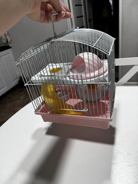 Клетку продам для хомяка