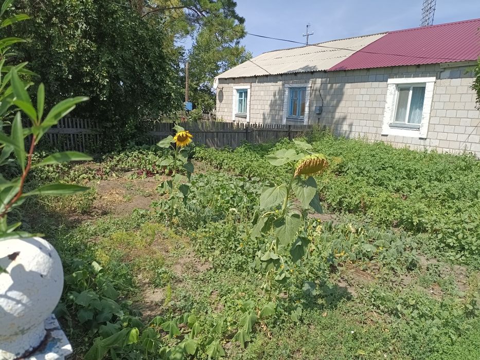 Продам дом  в селе Первомайка
