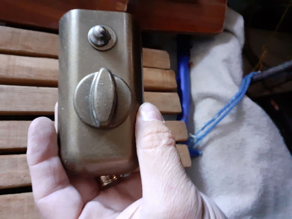 Broasca usa de intrare