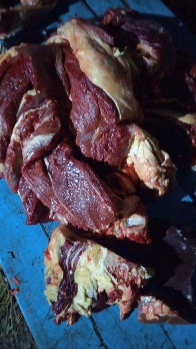 Говядины, семіз ет достовка