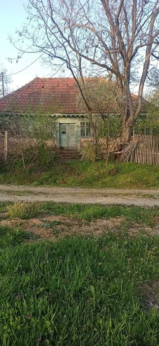 De vânzare casă bătrânească și terenuri - Mehedinți - Călineștii de Sus - 49000mp