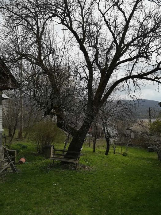 TEREN INTRAVILAN 5.017 mp + 2 case sat Măgura, com. Bezdead, jud. Dâmbovița