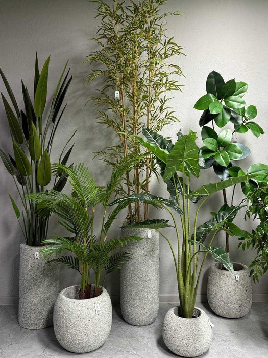 Искусственные растения, оливы, бамбуки, декор, композиции. фикус,цветы