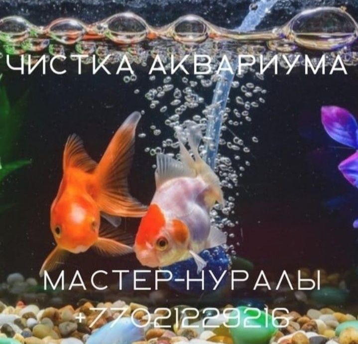 Чистка аквариума