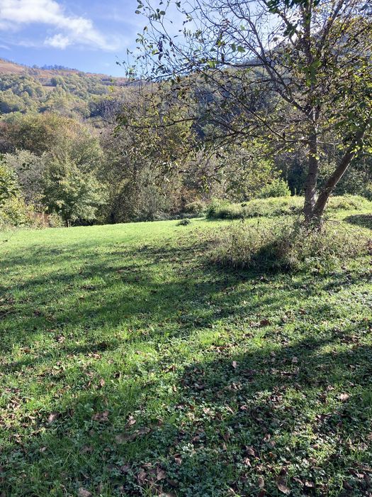 Поземлен имот в регулация