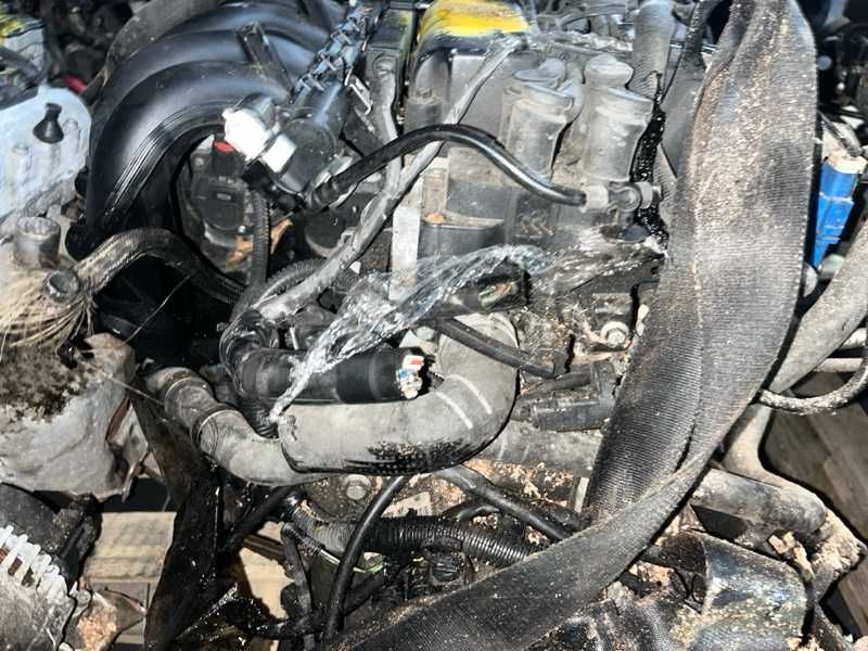 Двигатель Ford Focus 1.6 SHDC