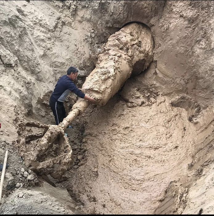 Гнб прокол услуги