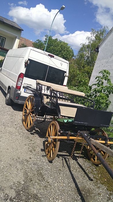 Trasura vieneza  Austria