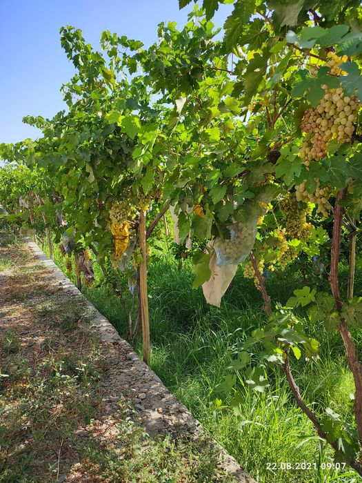 Участок в городе Навои