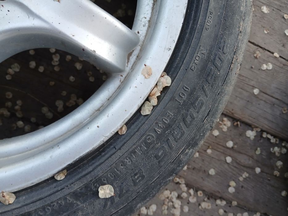 Продам титановые диски с резиной.