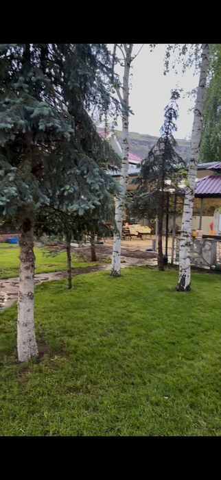 Аренда дачи на машате