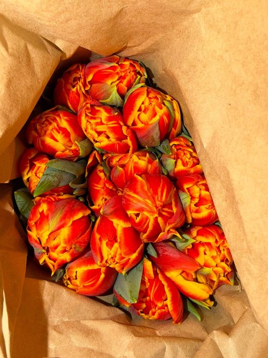 Предзаказы на 8 марта тюльпаны