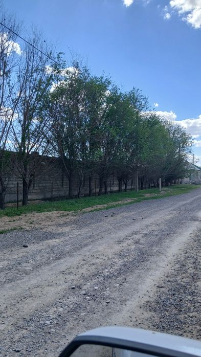 Жер земля Жайна артында