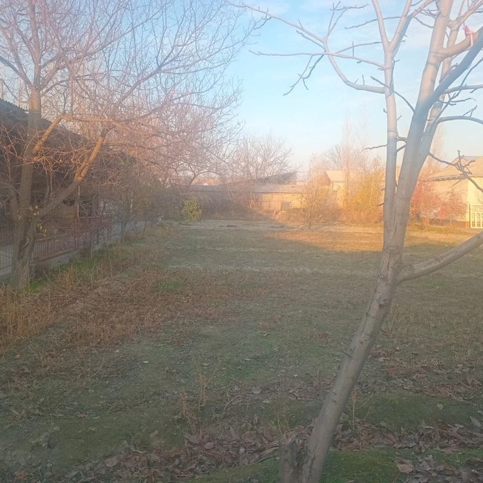 Jomboy tumani Zarafshon mahallasida Hovli sotiladi 

Jomboy tumani