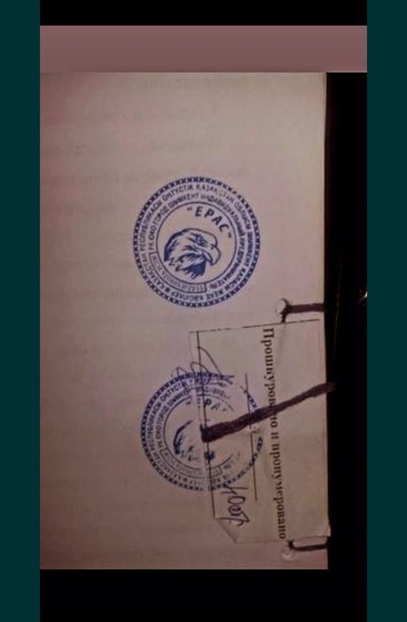 Бройлер балапандары