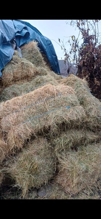 Baloti de fan dreptunghiulari