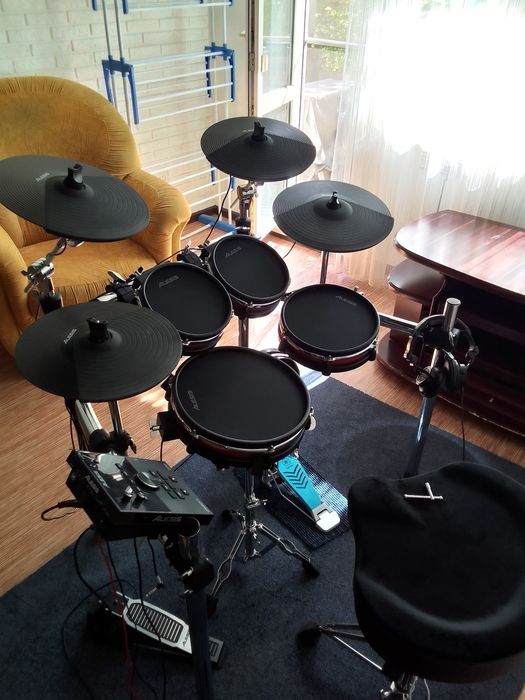 Alesis Crimson ll SE