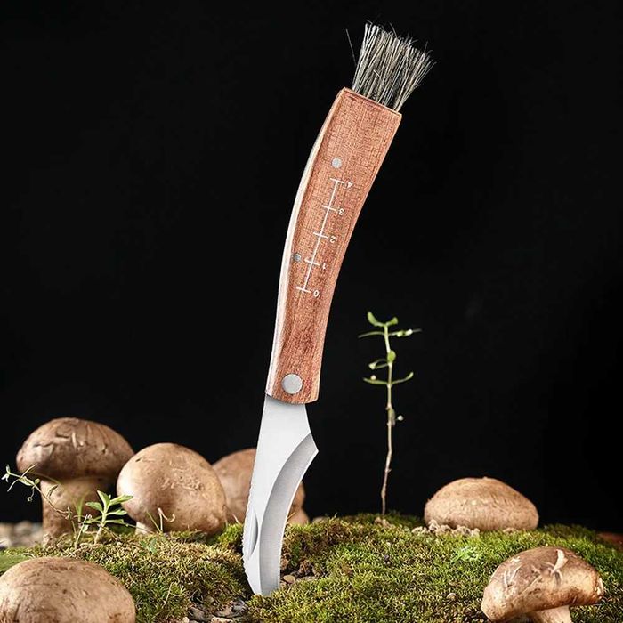 Нож за гъби с ЧЕТКА Гъбарски нож Два размера ! Сгъваем нож !