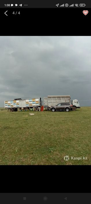 Пчелоприцеп с пчелами