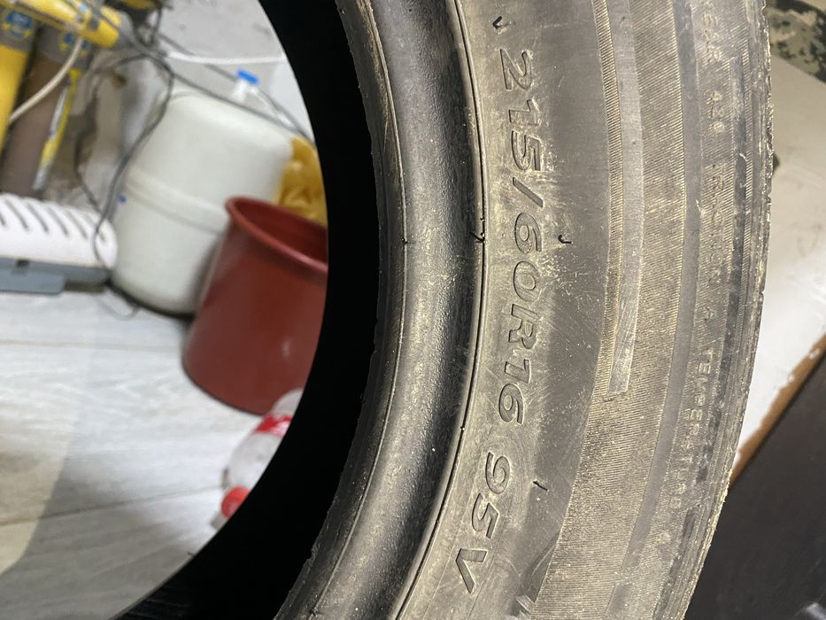 Продам ризина р16