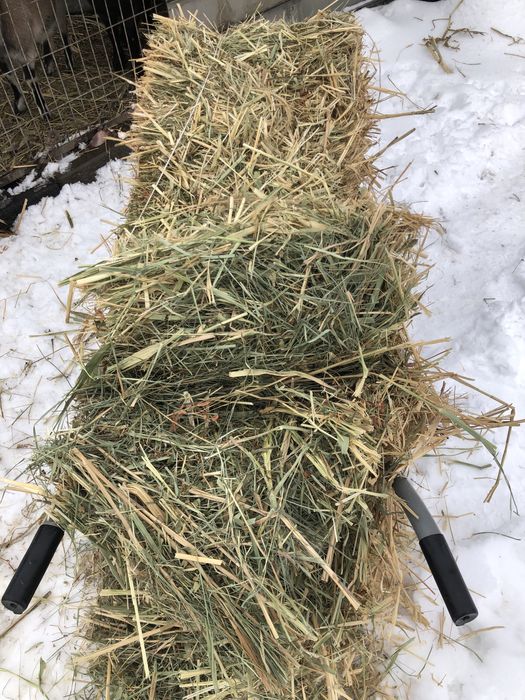 Шөп сатылады шөп сатылады