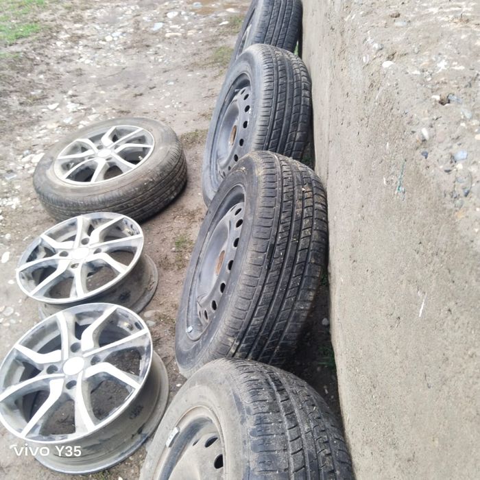 SKAD диска тульпан