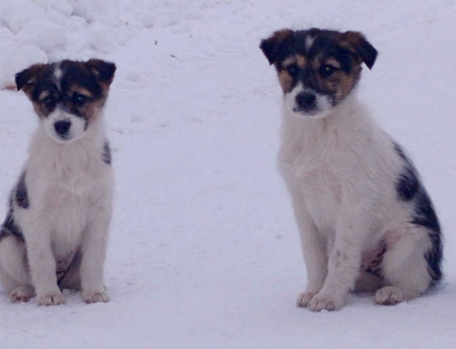 Мы хотим стать частью Вашей семьи)