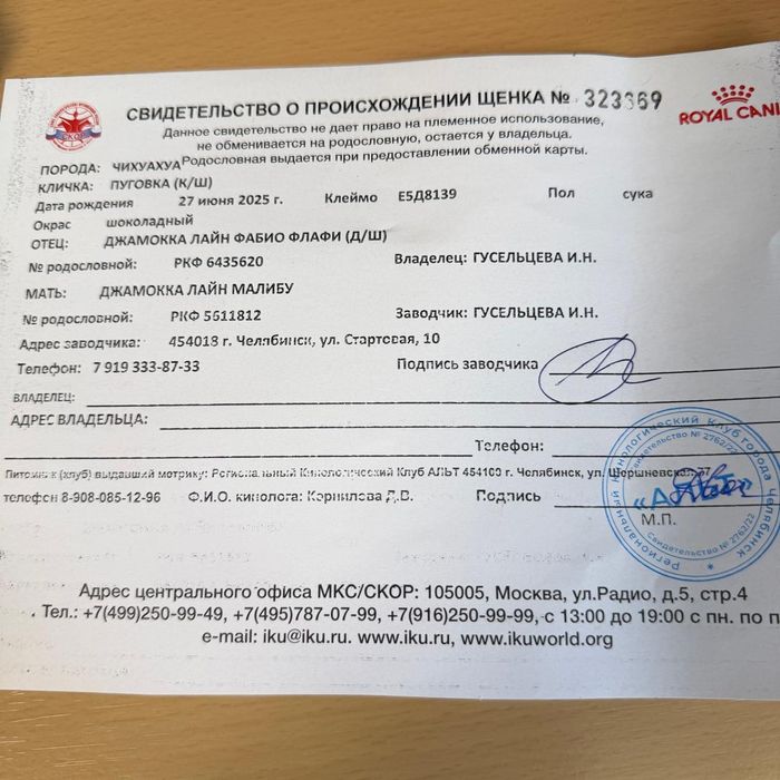 Суперский дружок!