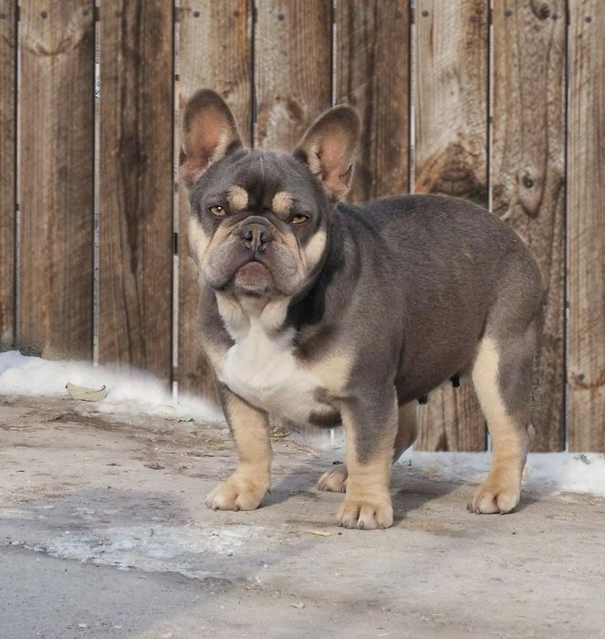 Взрослая девочка