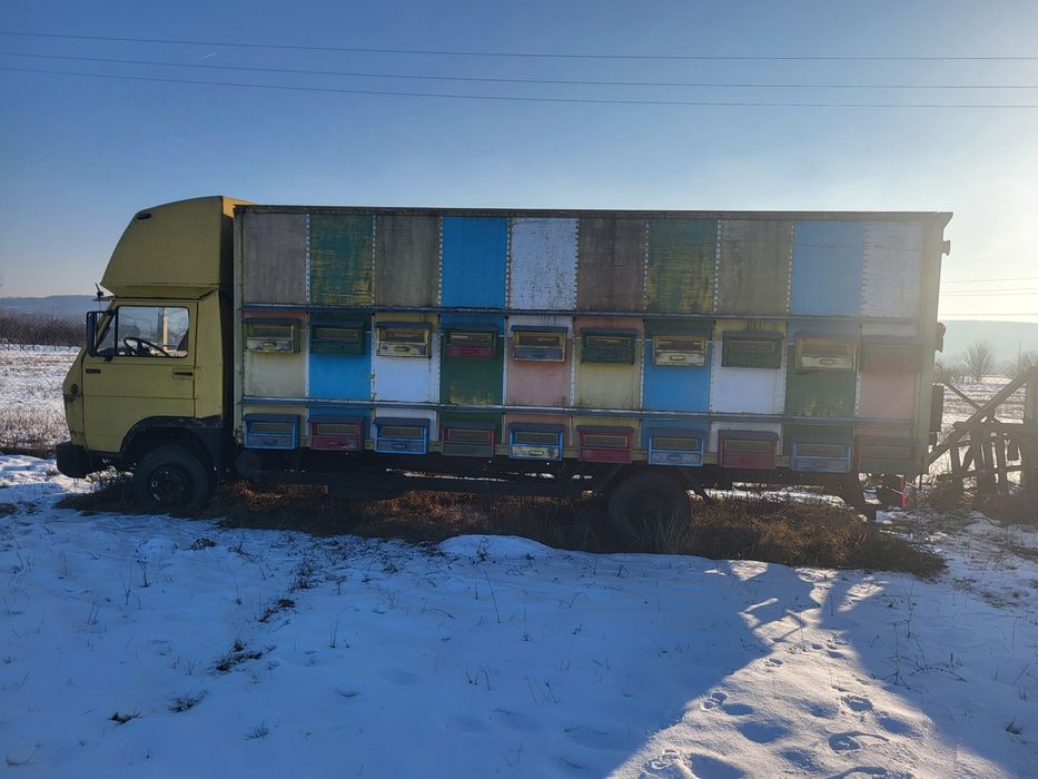 Camion apicol. Volkswagen man. Albine