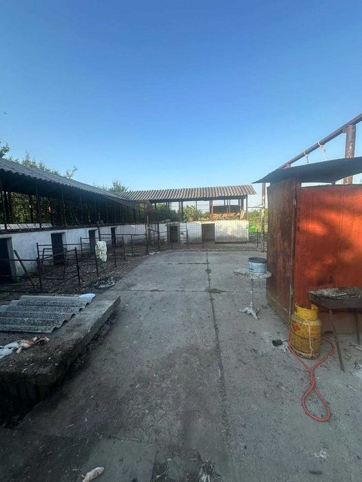 Vand/ Inchiriez Magazin, Spatiu Comercial, Casa