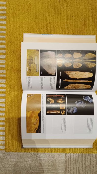 "Родственици - Живот, смърт, любов и изкуство при неандерталците""