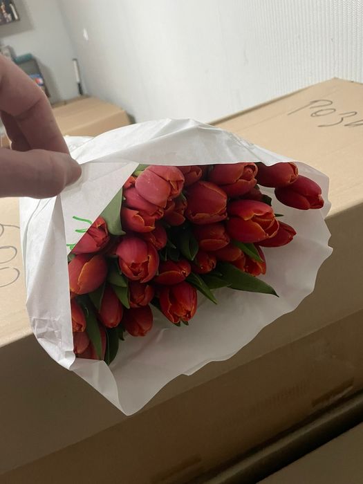 Тюльпаны предзаказ к 8 марта!