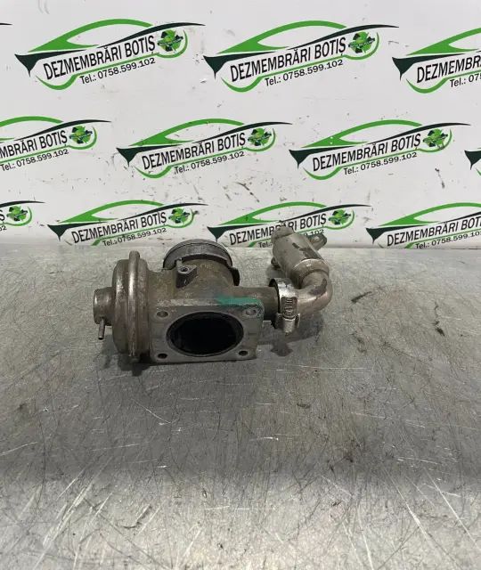 EGR vacumatic BMW Seria 3 2002 318i AT (118 hp)