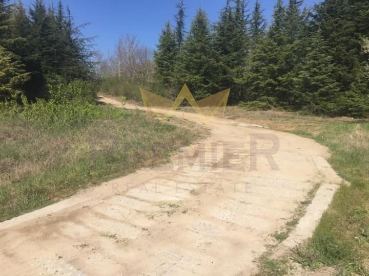 Продава се Парцел в с. Близнаци, Област Варна - 4300 кв.м за 6 €/кв.м - Снимка #5