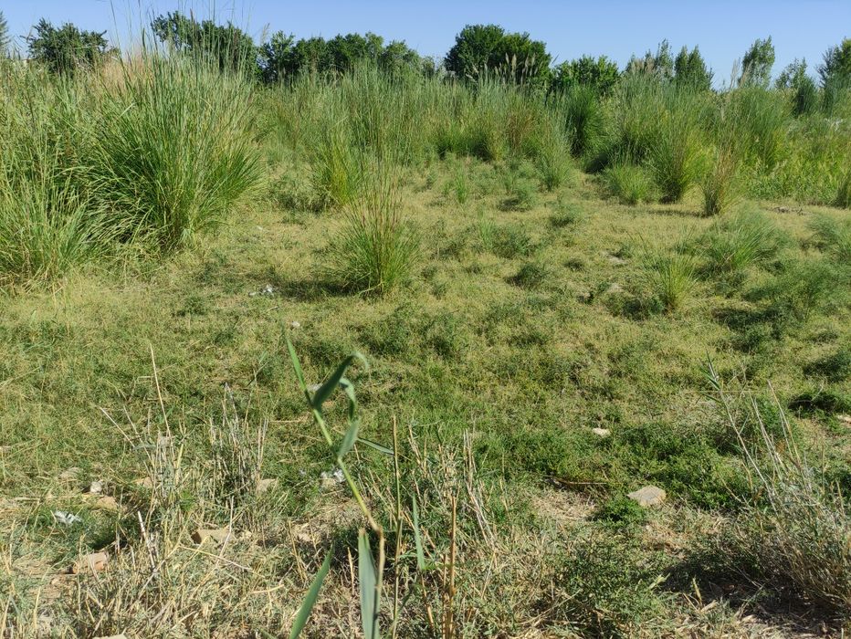 Участка сотилади срочно