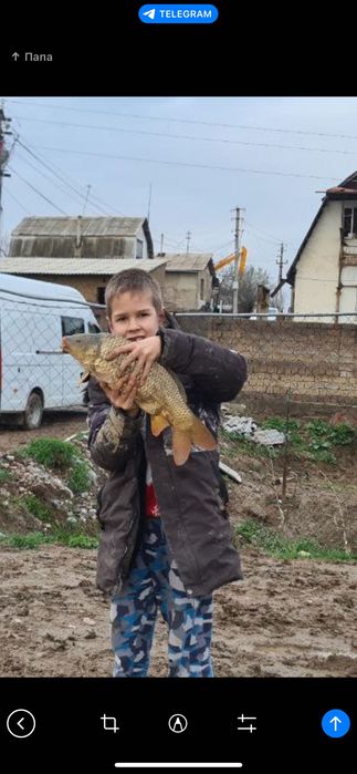Рыбалка, проточная вода. Огромные пруды